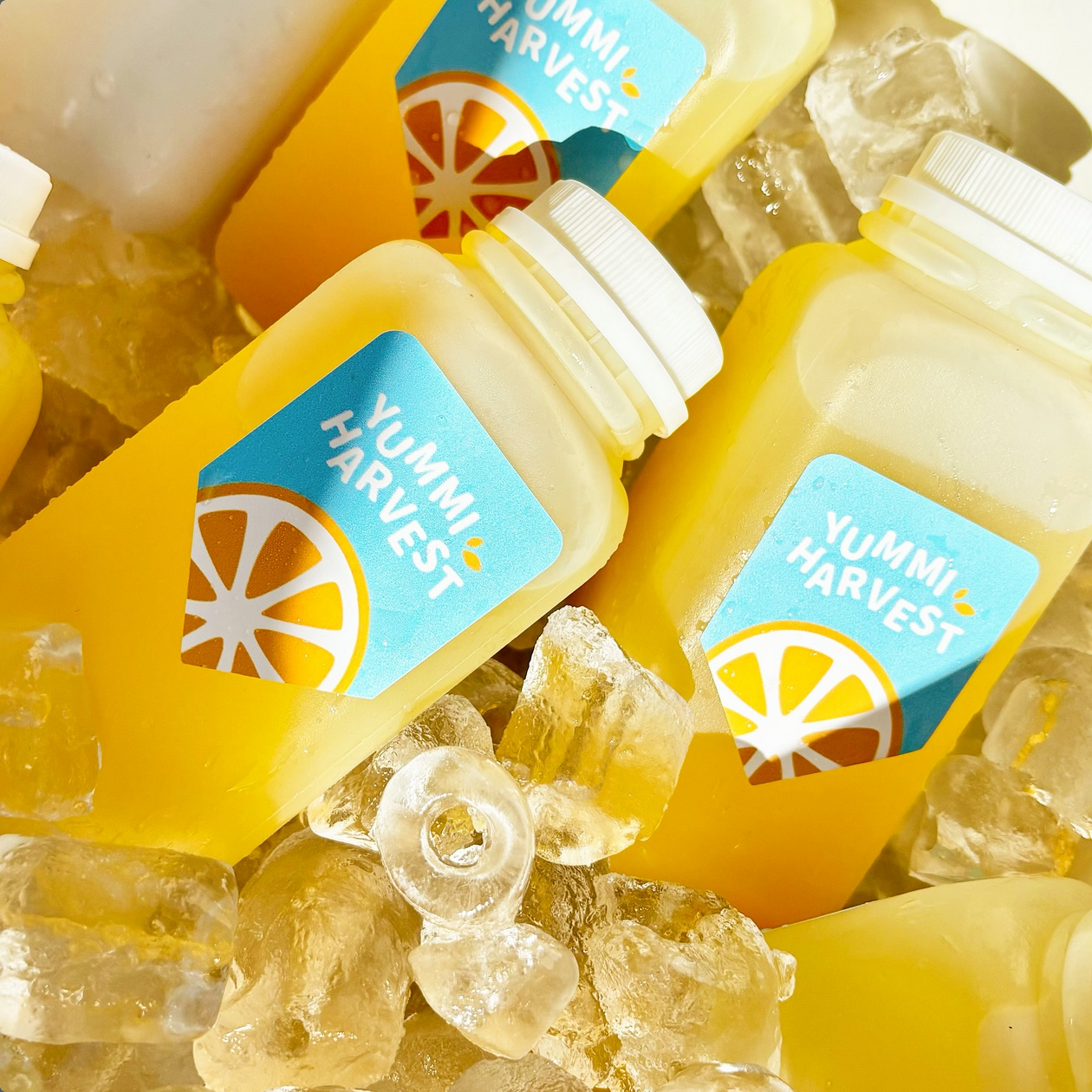 Yummi Harvest - Central Florida Orange Farm