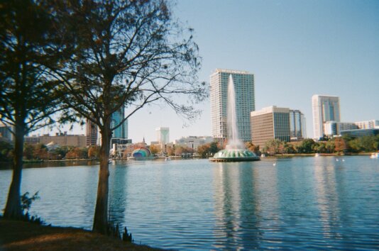 How Social Media Marketing Can Transform Your Orlando Business- Tips and Strategies